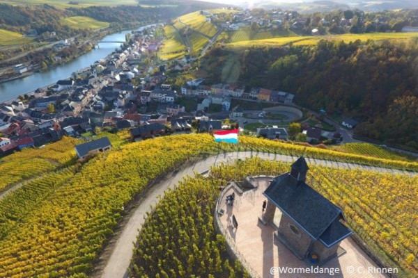 Visite privée de la rivière et du vin de la région de la Moselle